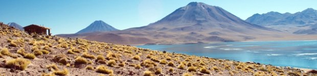 Lagunas Altiplanicas, Atacama